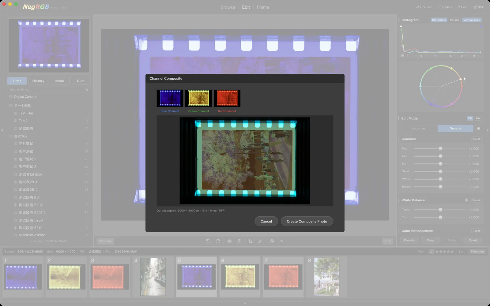 NegRGB Channel Composite — The Channel Composite dialog: red/green/blue channel assignments auto-detected, with a live composite preview