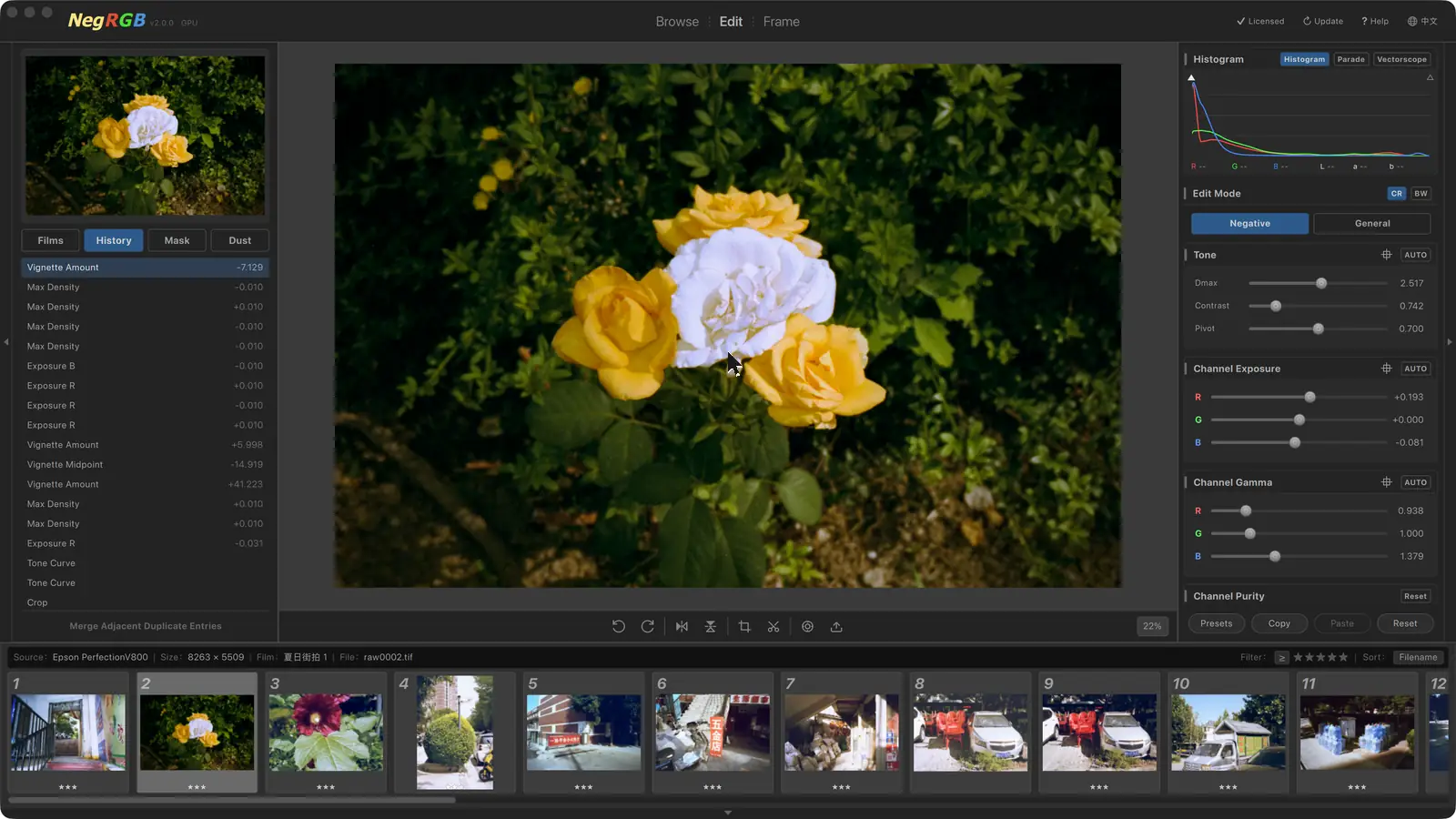NegRGB Negative Conversion — The Negative panel: tone, channel exposure and channel contrast — cast removal in one place